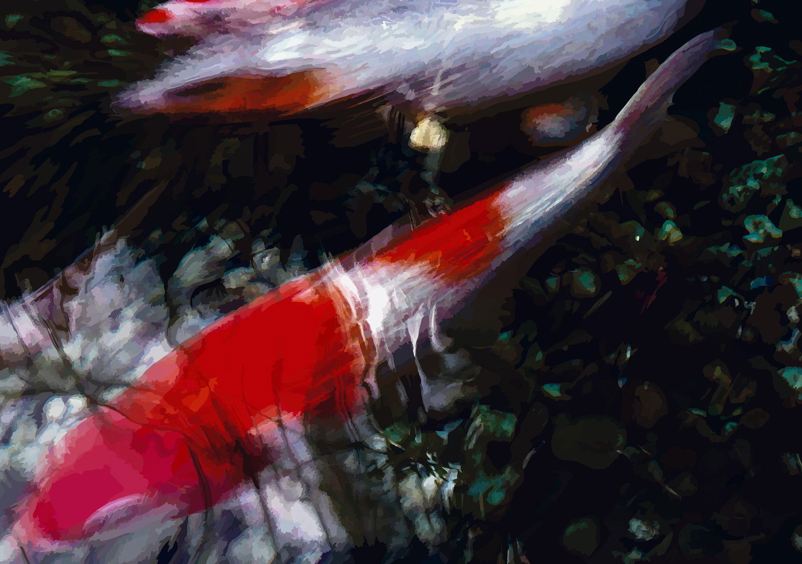 Koi I by Susanne Wehr - Limited Edition. Edition of: 100. Signed.