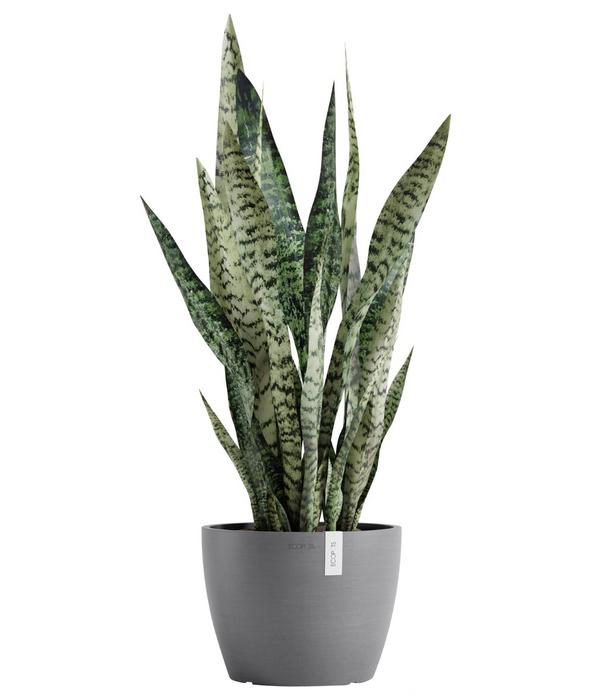 Ecopots Kunststoff-Topf Stockholm, rund