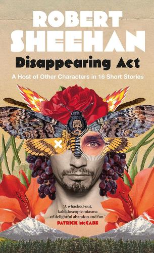 Disappearing Act: A Host of Other Characters in 16 Short Stories (Hardback)
