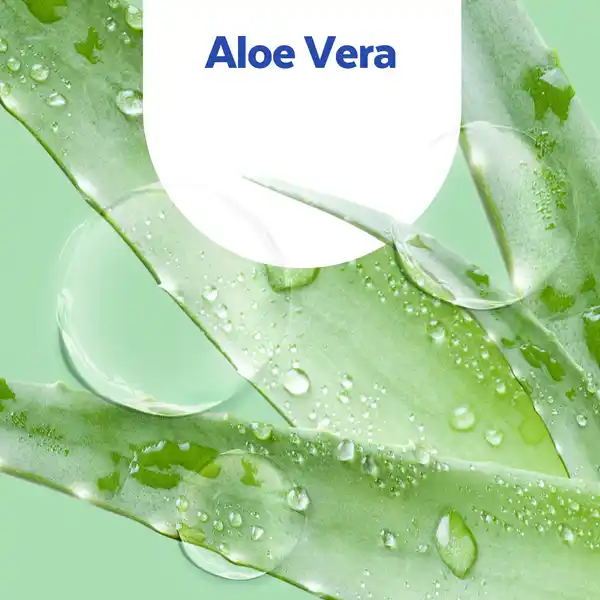 Flüssige Handseife Aloe Vera Nachfüllbeutel