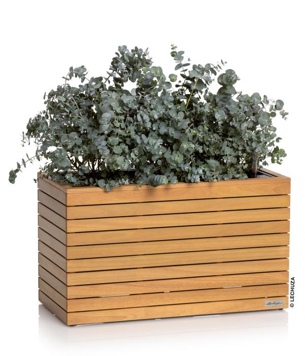LECHUZA® Holz-Kasten PALO Natural Wood 80,