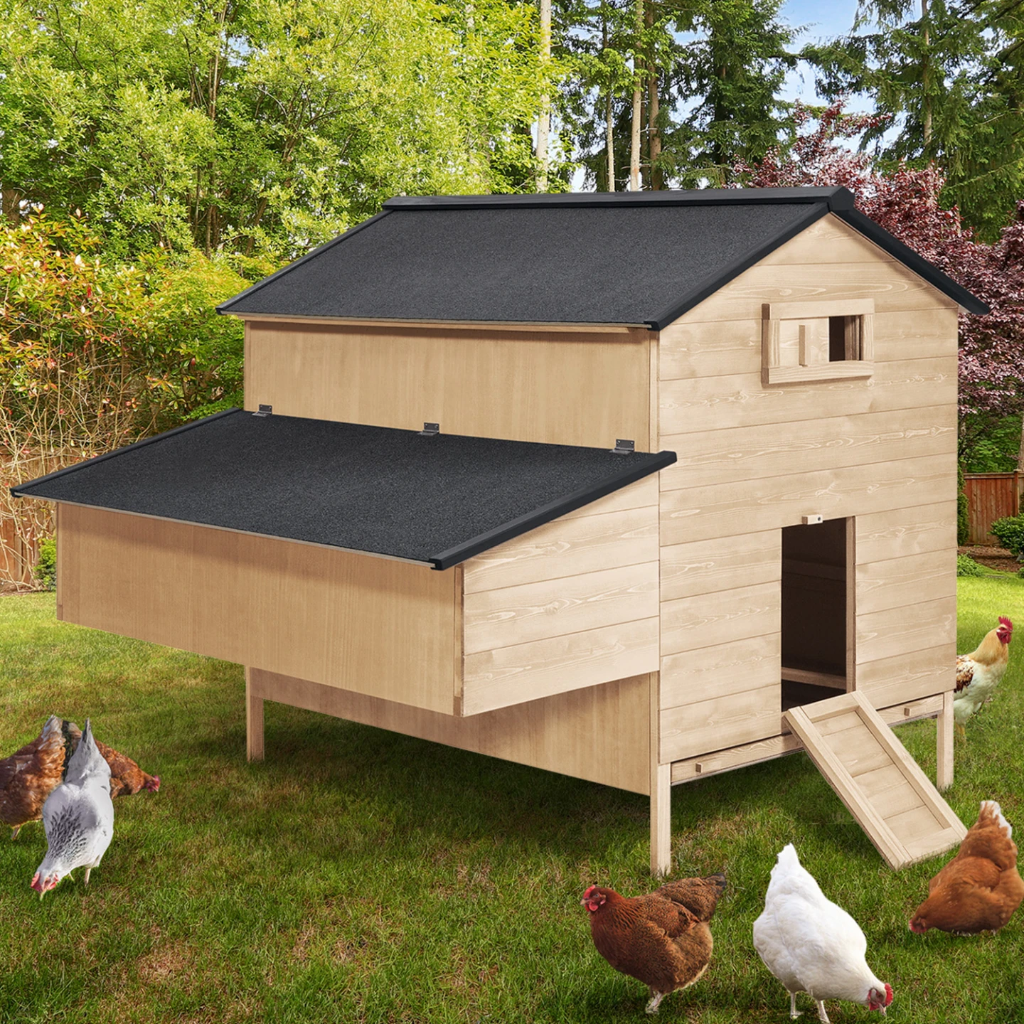 Poulailler chalet XXL pour poules avec pondoir en bois