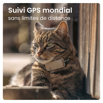 Tractive GPS Tracker Cat5 Mini für Katzen hellbraun