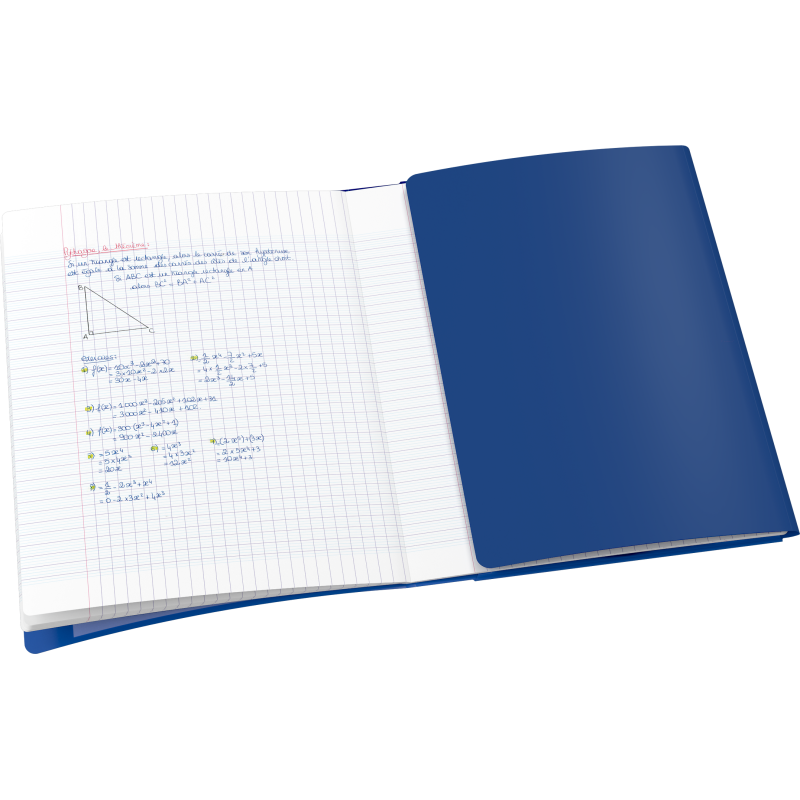 Cahier Oxford Easybook Oceanis Agrafe 240X320 96P Optik P. Seyes Polypro Assorti