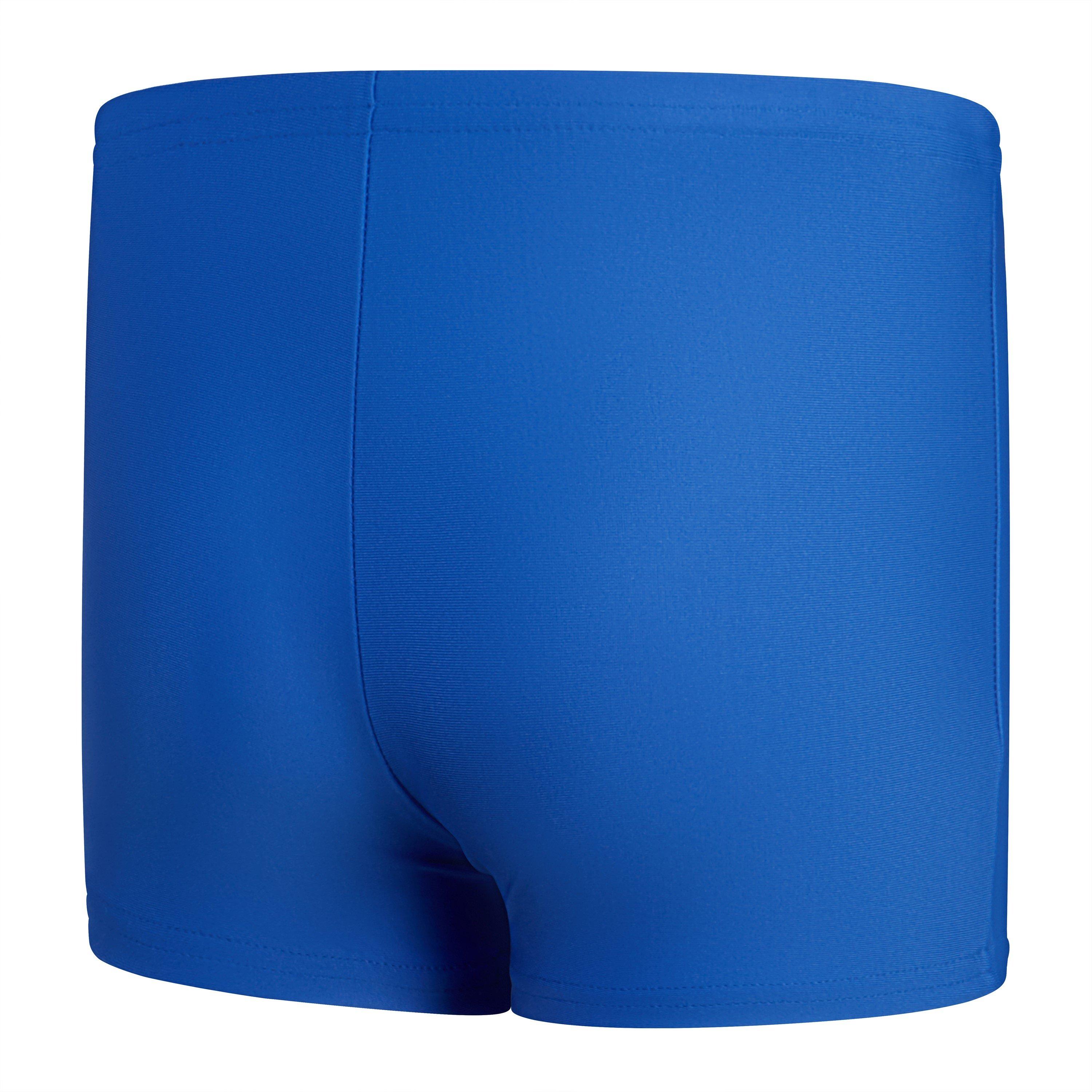 Speedo Plmt Asht Bb99