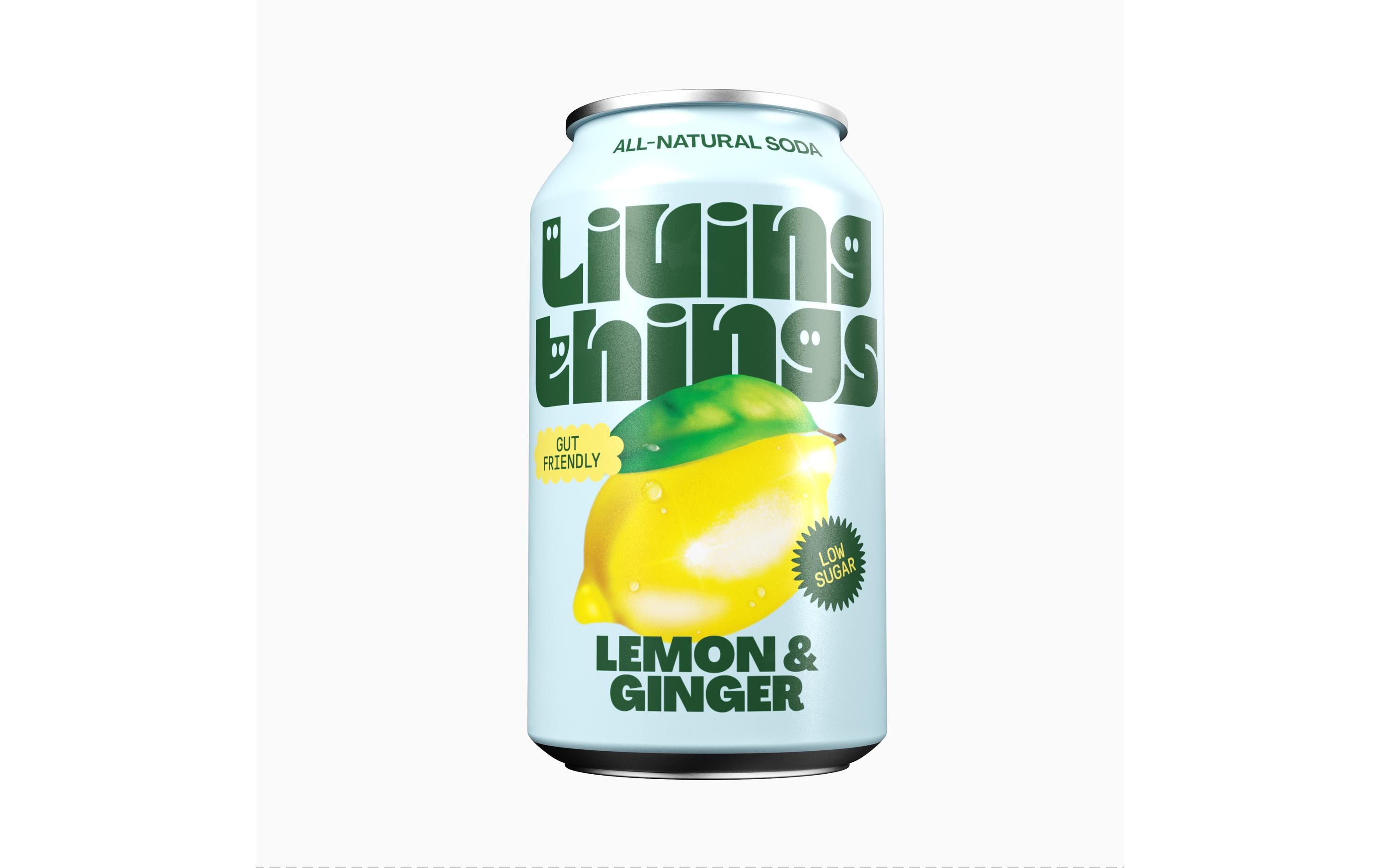Soft-Drinks Lemon & Ginger 12 x 0.33 lNatürliche, leicht sprudelnde präbiotische Limonade