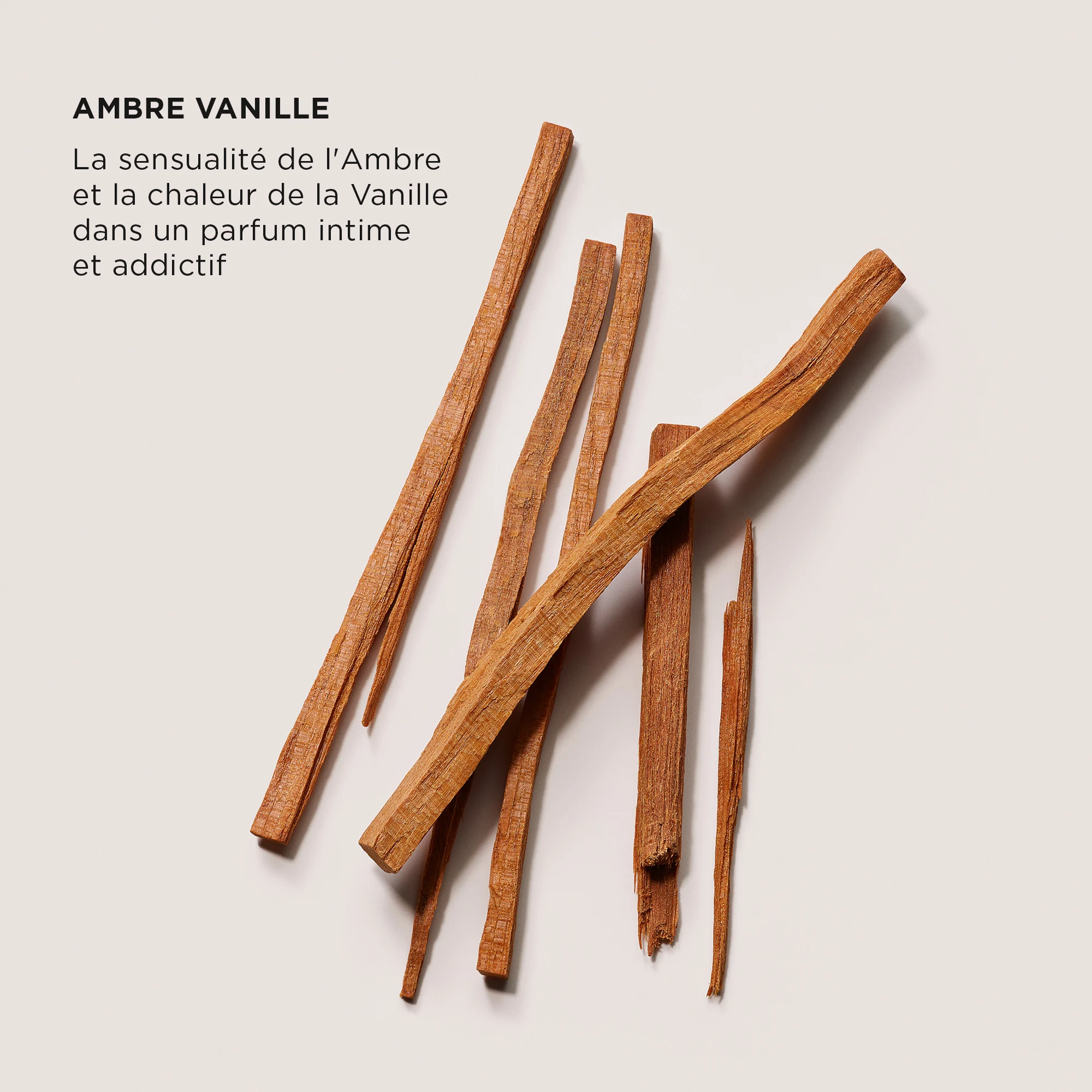 HAND CREAM - AMBRE VANILLE |