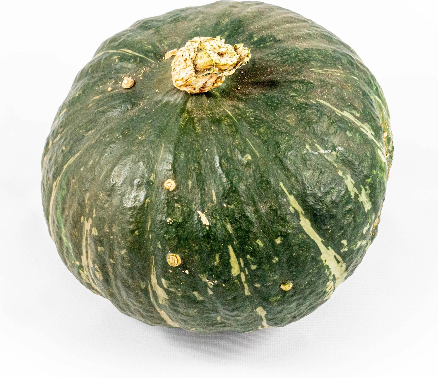 Pompoen (Cucurbita 'Sweet Mama') D 17,5 cm