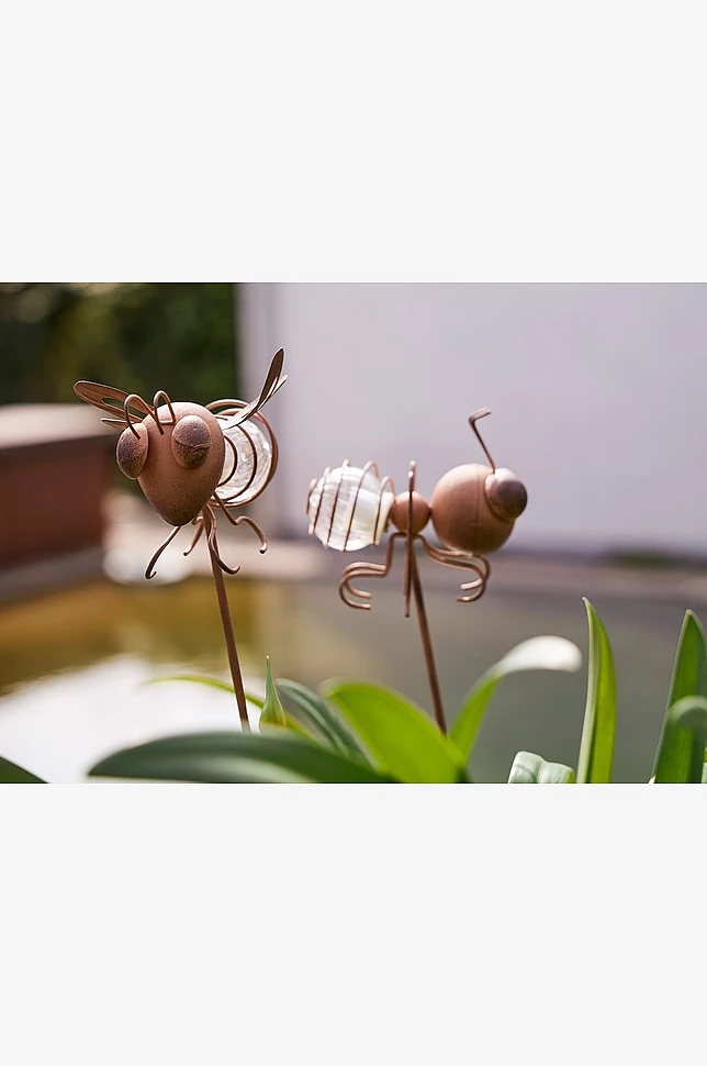 Solcelledekorasjon Oxida Bug 2-p