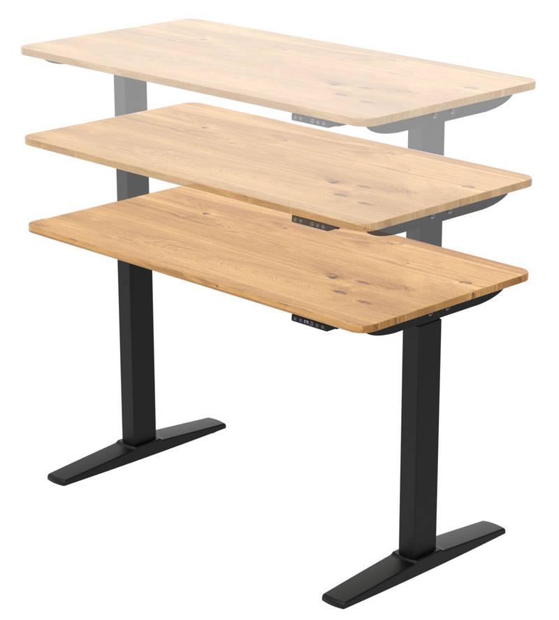 Carryhome E-Schreibtisch ULIX