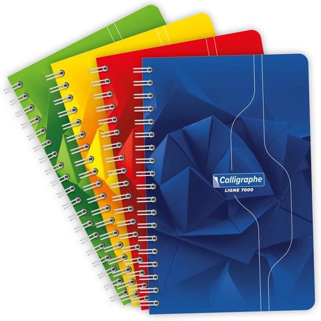Carnet reliure intégrale 7000 11x17 cm 100 pages petits carreaux 70 g - Assortis