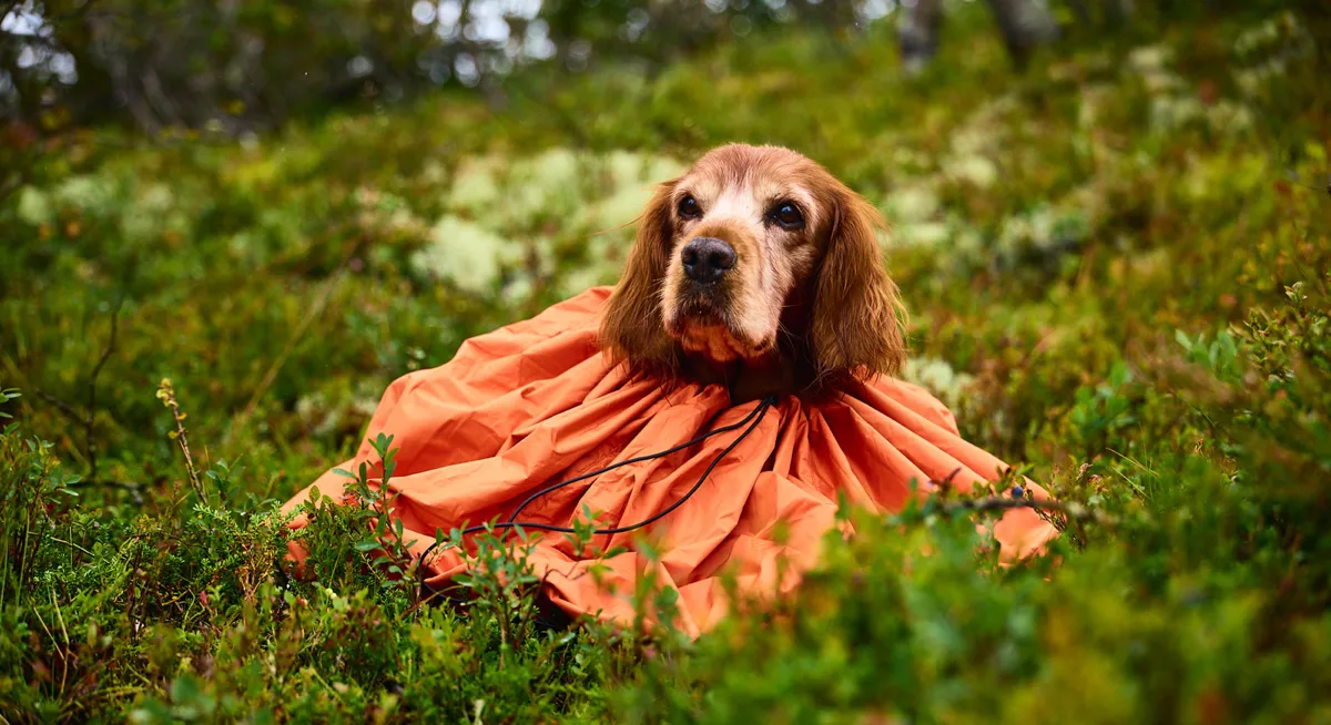Non-stop Dogwear Bivvy Bag Orange Small