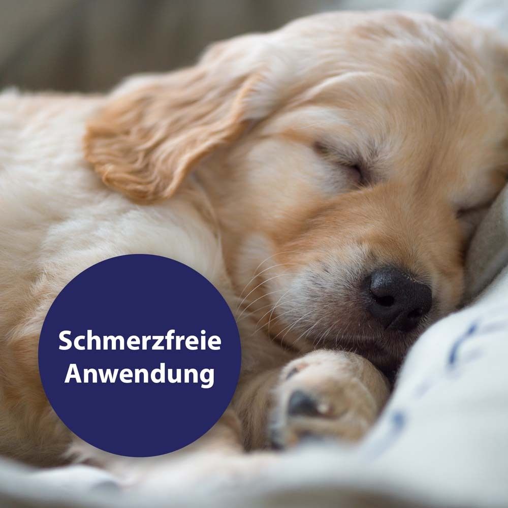 Canosept® Wundspray für Hunde 75 ml