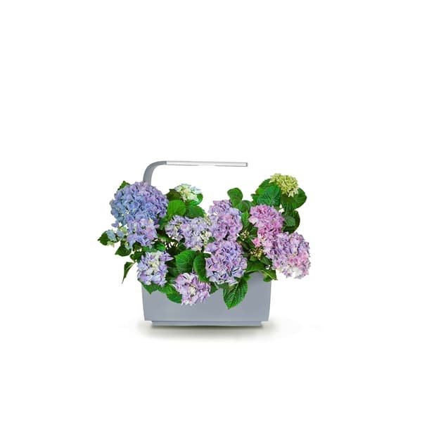 Tregren Kitchen Garden T6 Grå
