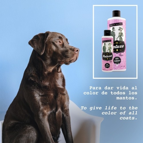 Shampoo Petuxe para animais de estimação que realça a cor.