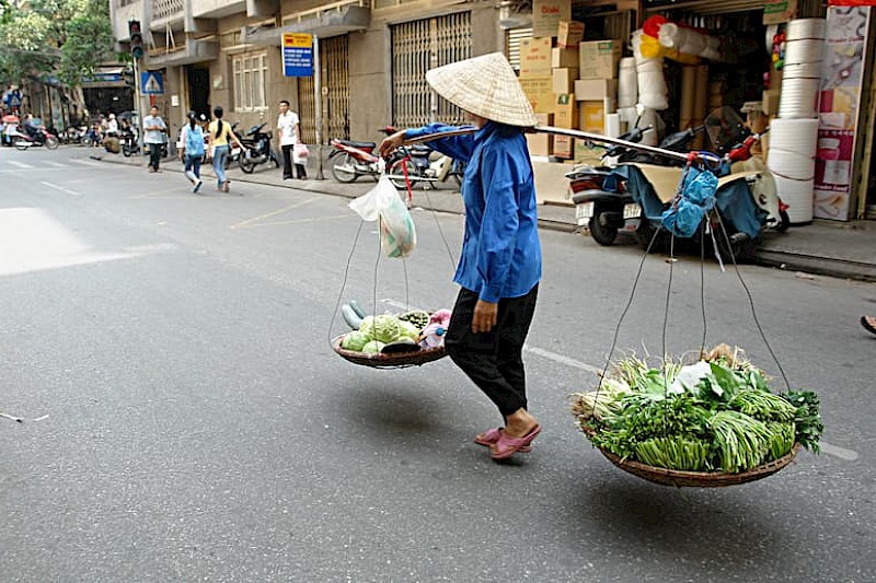 Vietnam Compleet