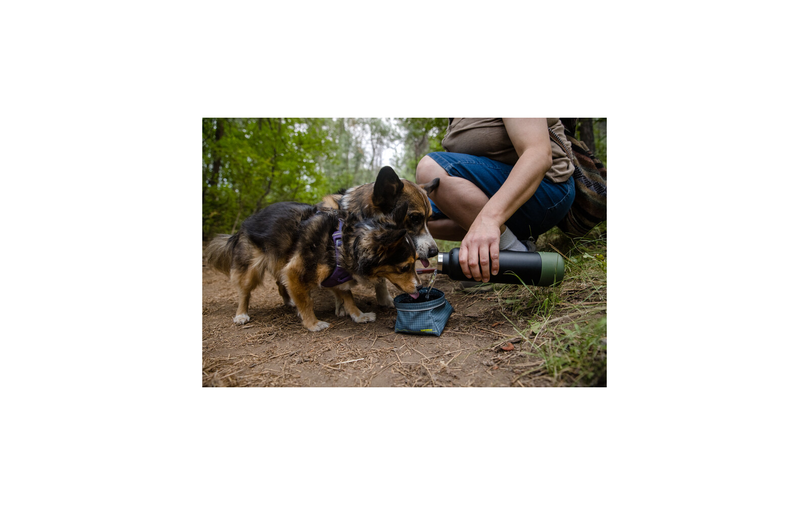 Ruffwear Great Basin Hundenapf M slate blue