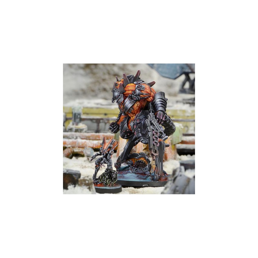 Infinity - Combined Army - Avatar