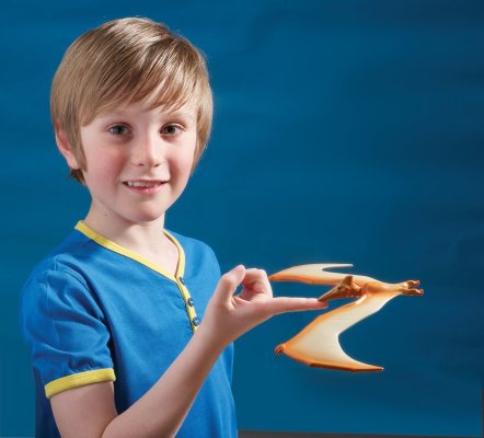 Balancing Pteranodon