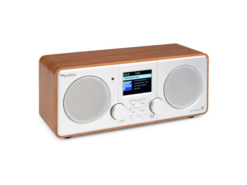 Audizio DAB  Radio Foza Braun/Silber All-in-One-WLAN-Internetradio mit DAB  und UKW