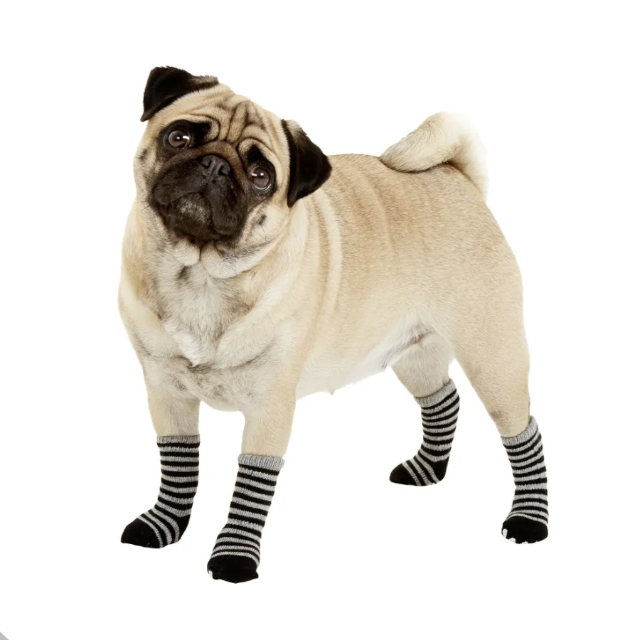 Meias pretas e cinzas para cachorro da Karlie
