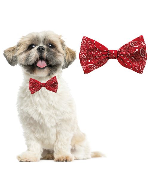 Plenty Gifts Bow Tie Dog  Pattern - Cadeau - 4x12x1 cm Rood Wit S