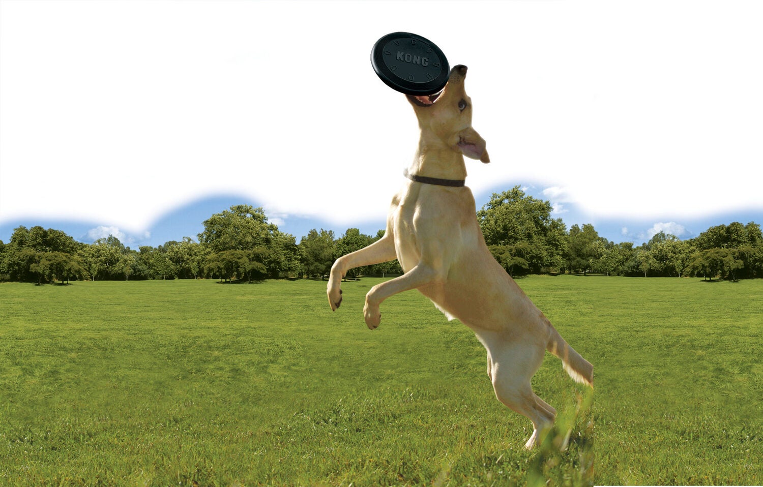 Kong hondenspeelgoed Extreme frisbee zwart D 22,5 cm