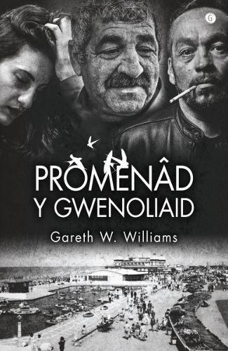 Promenad y Gwenoliaid (Paperback)