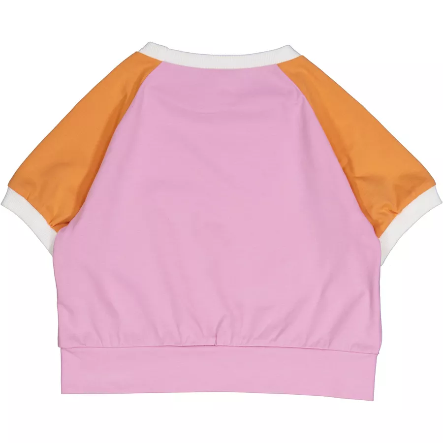 Fred's World T-Shirt Pastel