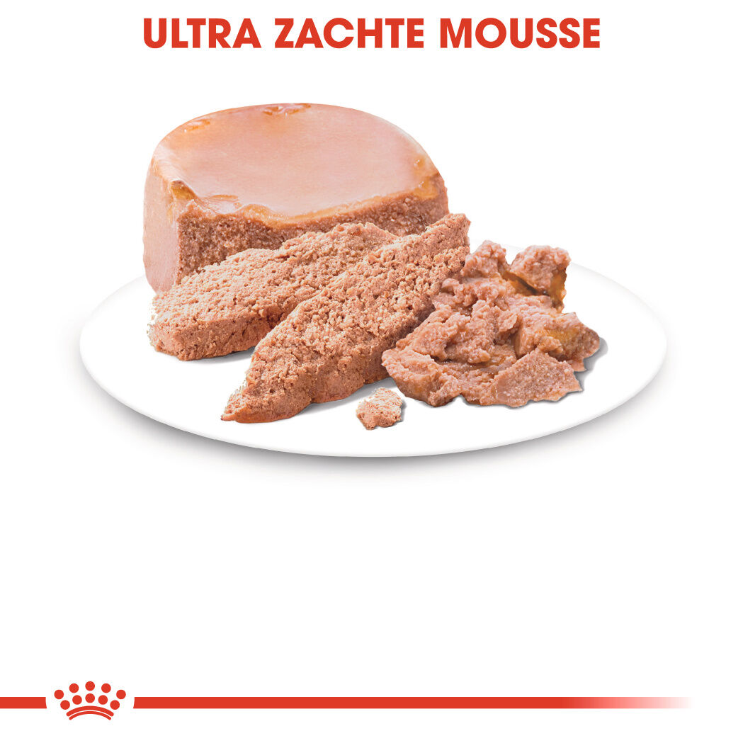 Royal Canin Mother & Babycat - Kattenvoer - 195 Gram