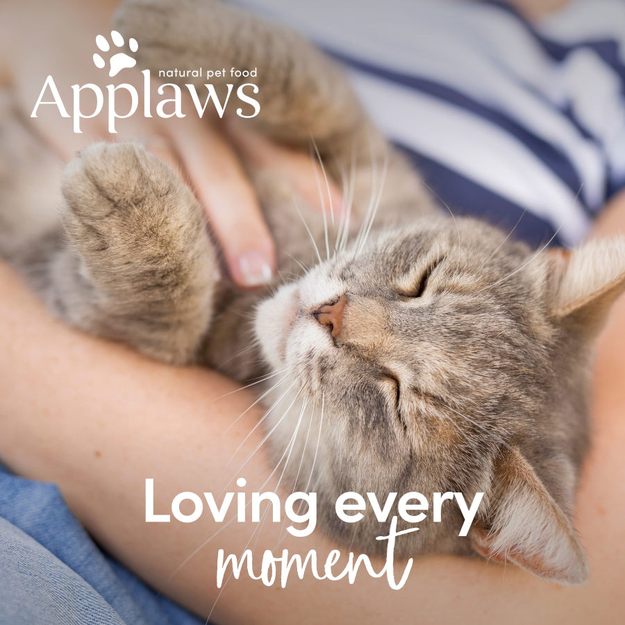 Applaws Petisco Purê de Atum para Gato - Pacote de 8