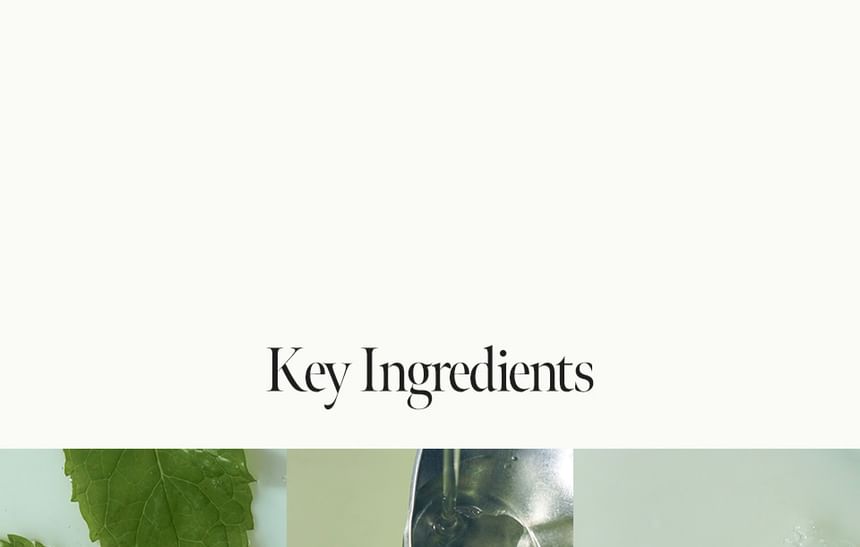 anillO - Patchouli Garden Damage Repair Haarbehandeling