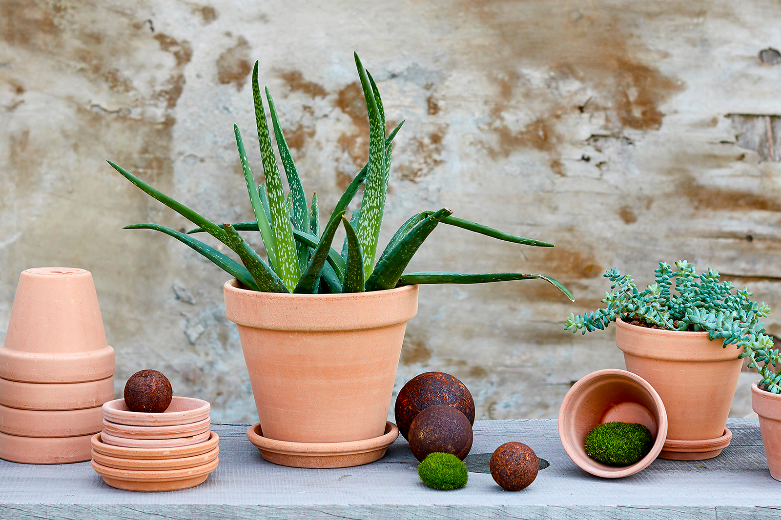 Toscana blomsterpotte Ø:11 cm. Antique terracotta