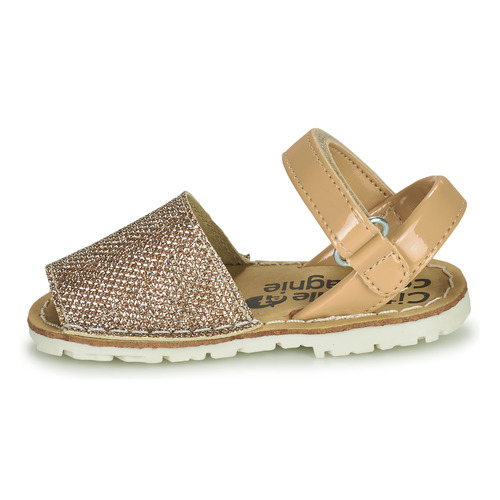 Citrouille et Compagnie - SQUOUBEL - Beige