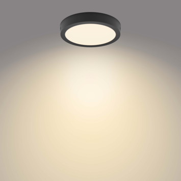 Philips plafondlamp Magneos LED 21cm 12W zwart