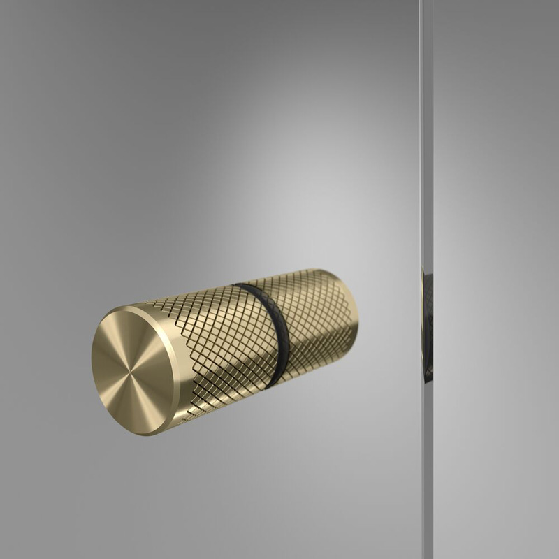 Sealskin Contour draaideur voor nis 100x200 cm, 6 mm helder veiligheidsglas met antikalklaag geborsteld goud