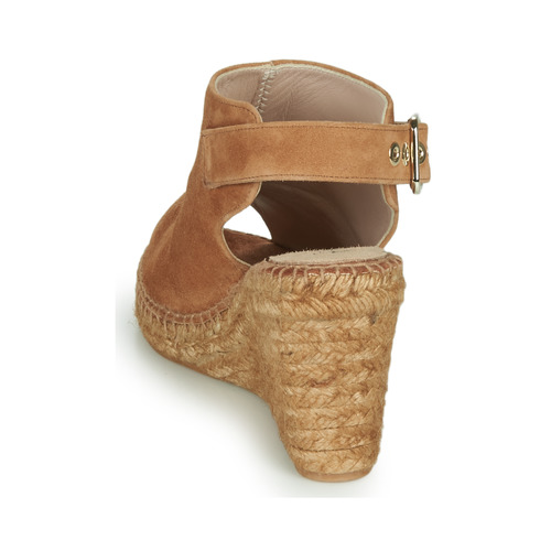 Fericelli - MAUD - Camel