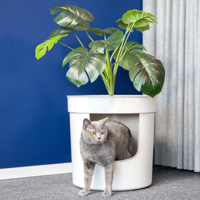 Moderna Katzentoilette Hidden Planter