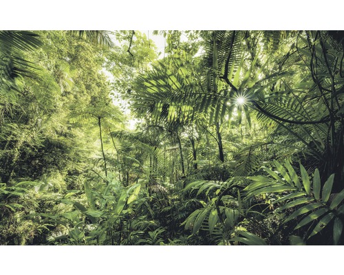 Vliesbehang SH041-VD4 Stefan Hefele Ed 1 Into The Jungle 4-delige set 400 x 250 cm