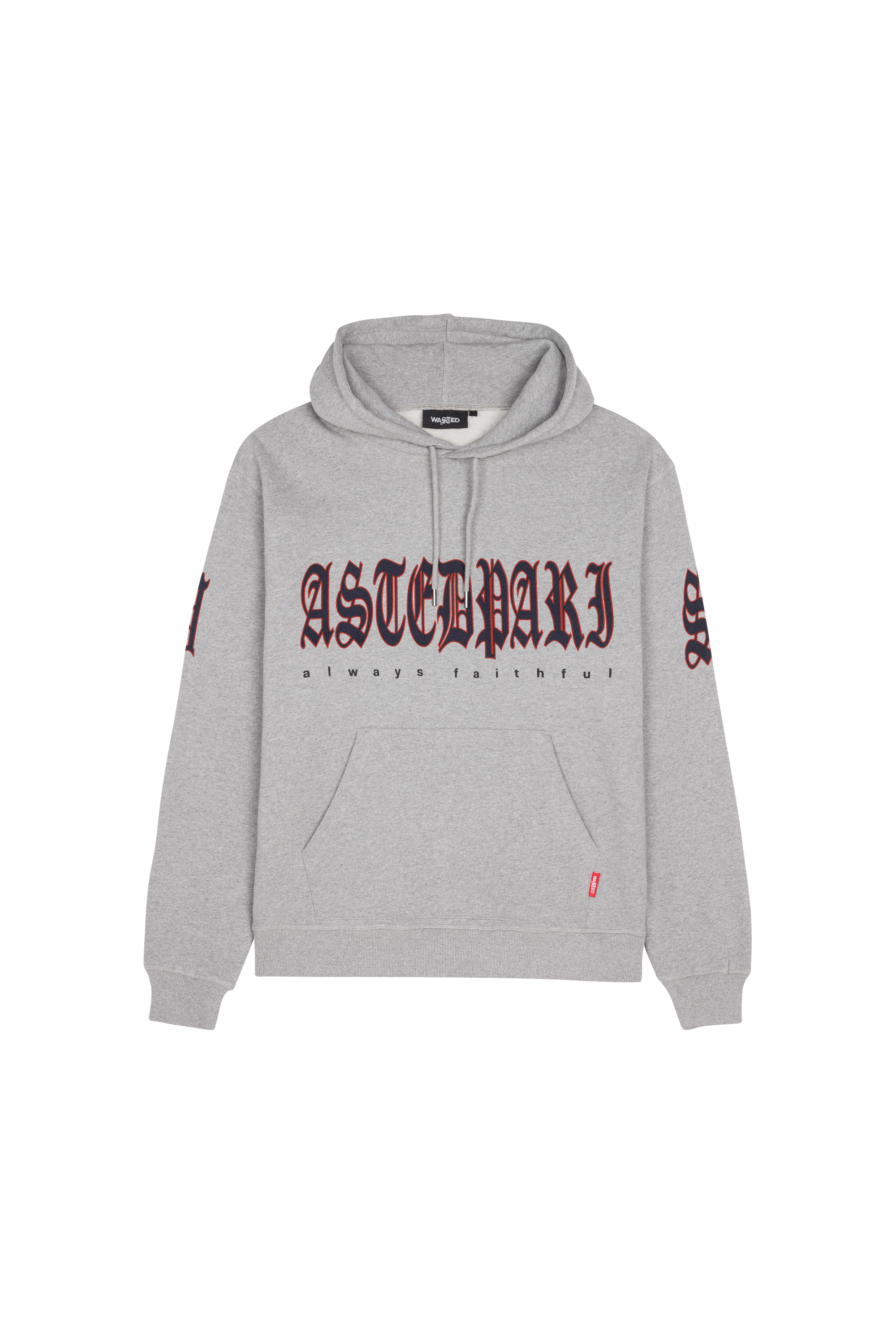 WASTED Hoodie  SHIELD Gris