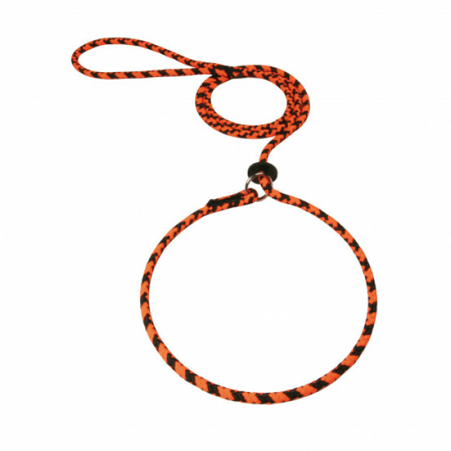 Laisse lasso ronde en corde tressée