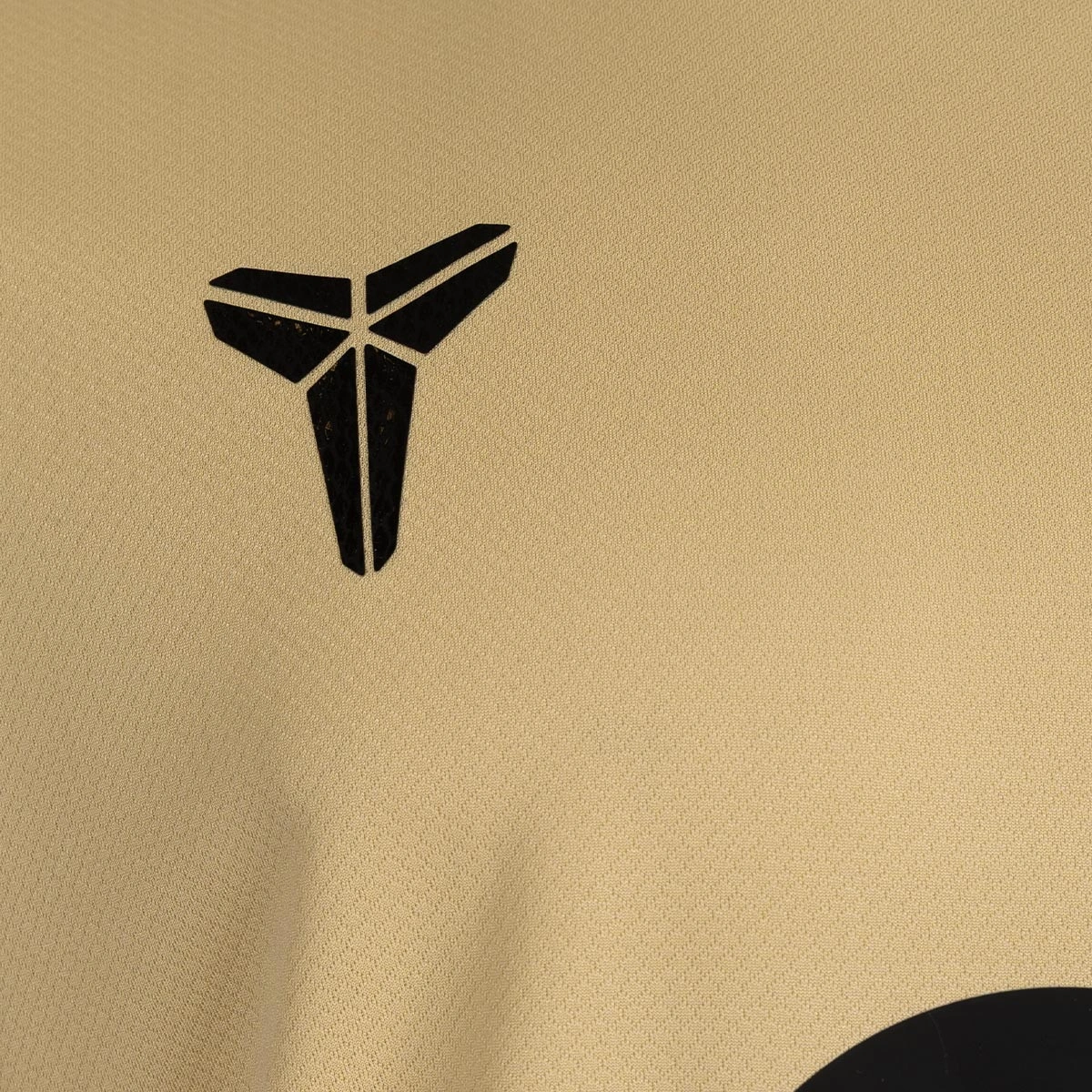 Camisola Nike Pedri FC Barcelona Segundo Equipamento x Kobe 2025-2026