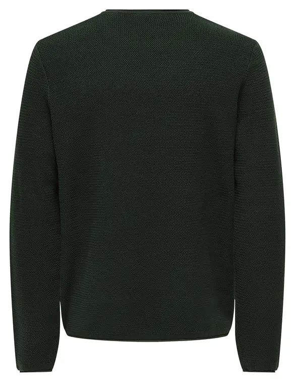 ONLY & SONS Trui Eric 22029952