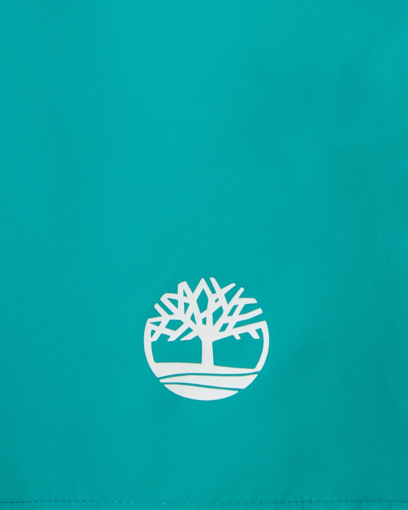 Timberland Surapee Lake Broek  - groen