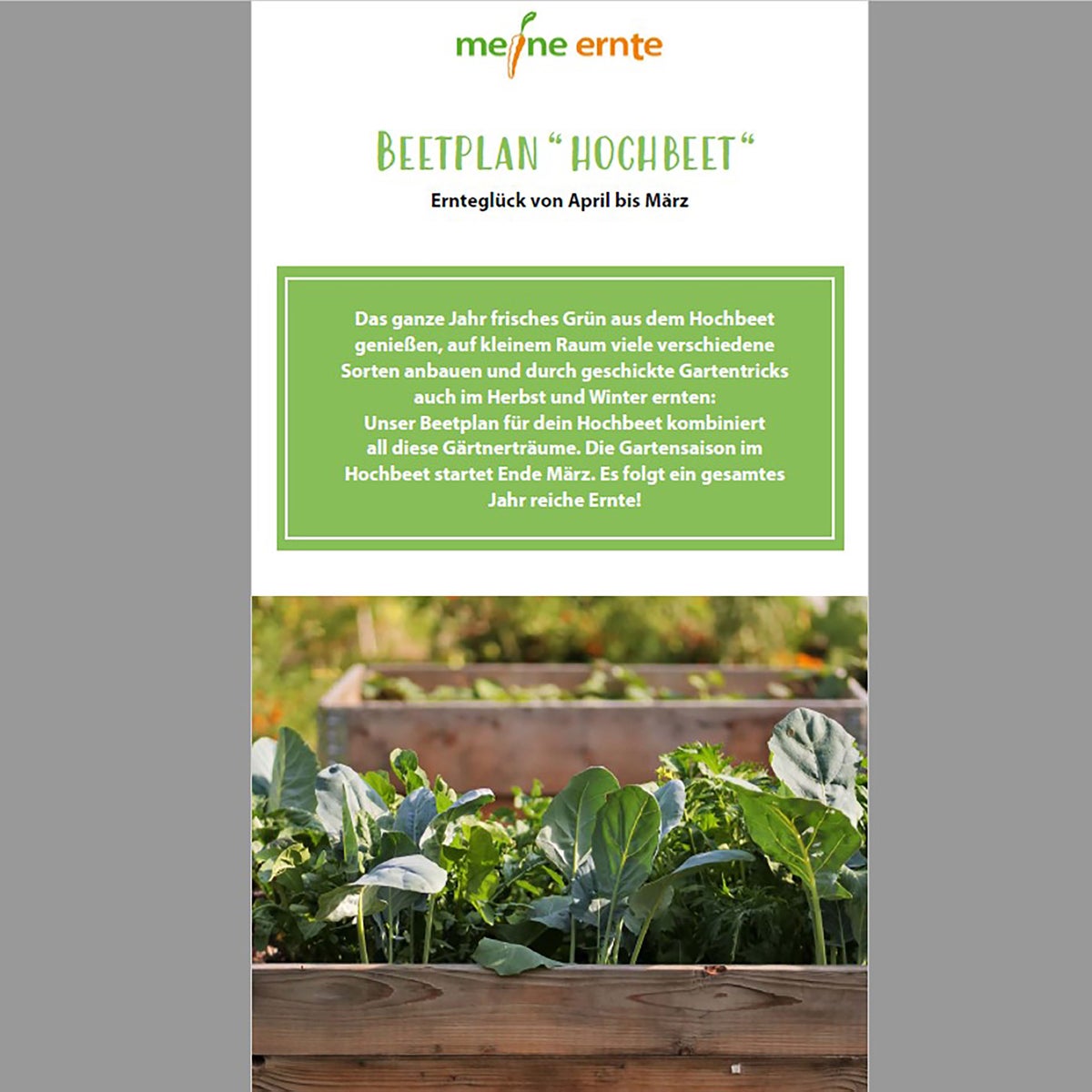 E-book: Verhoogd bed, digitaal bedplan, beplantingsplan, instructies, zaaien, verzorgen en oogsten, zelfredzaamheid