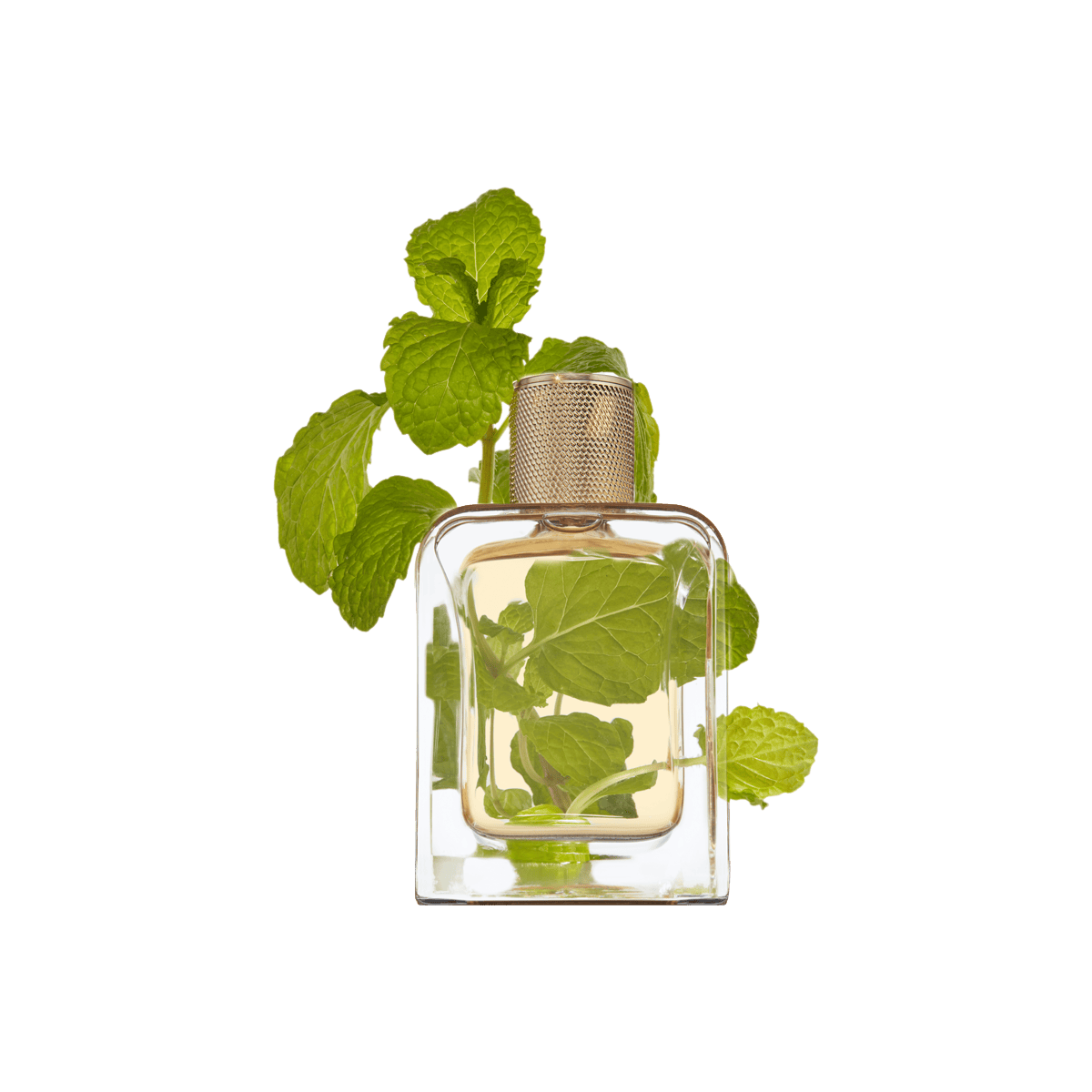 Vert Desir Eau de Parfum 85ml