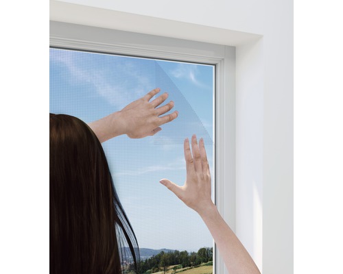 Windhager Standard PLUS hor voor ramen, zonder boren, antraciet, 100x100 cm