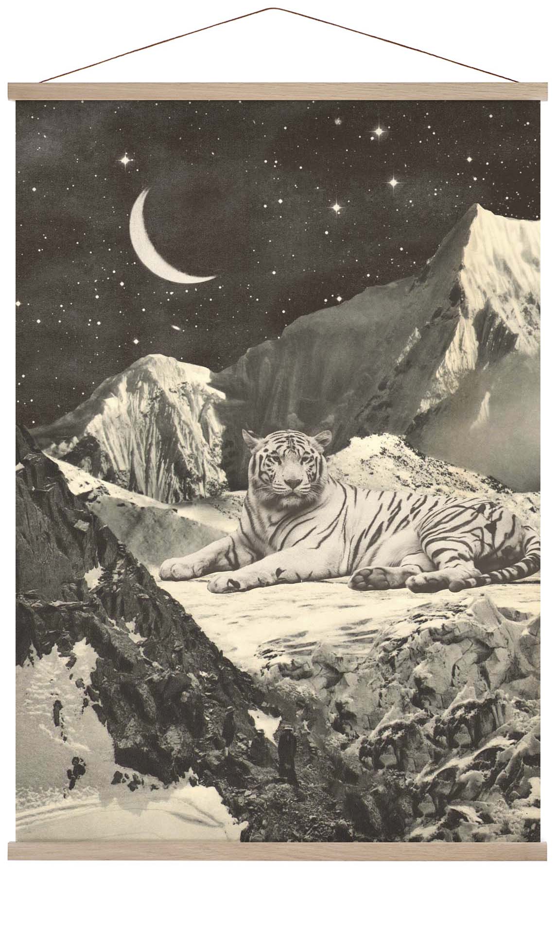 Riesiger weißer Tiger in den Bergen von Florent Bodart