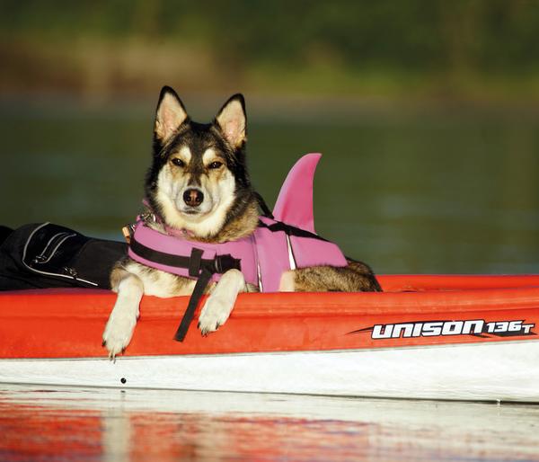 Nobby Schwimmhilfe für Hunde Sharki, pink