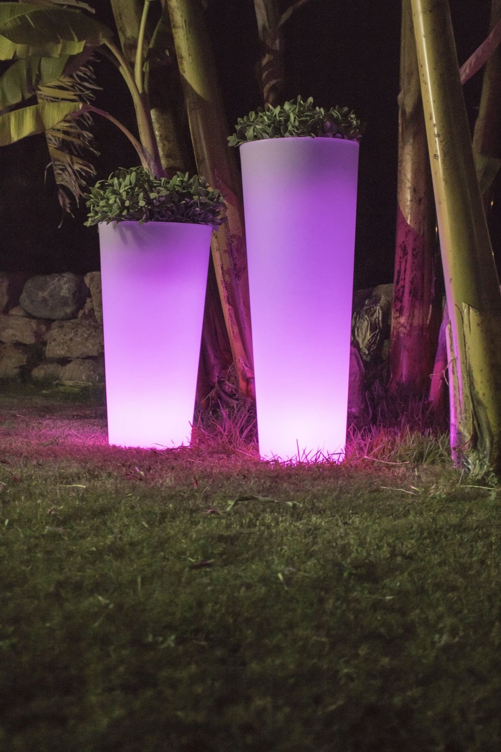 Pot lumineux ficus 80 solaire+batterie rechargeable led rgb avec télécommande ø29x79cm